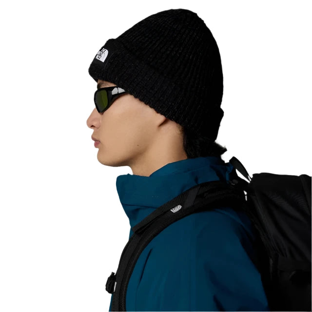 Beanie - The North Face Salty Dog Lined Beanie - Black