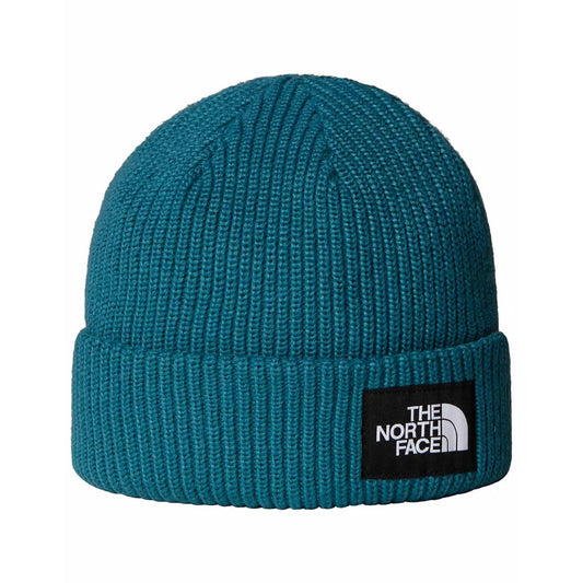Beanie - The North Face Salty Dog Lined Beanie - Space