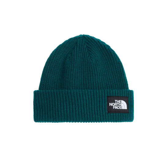 Beanie - The North Face Salty Dog Lined Beanie - Pacific Teal
