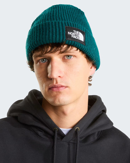 Beanie - The North Face Salty Dog Lined Beanie - Pacific Teal