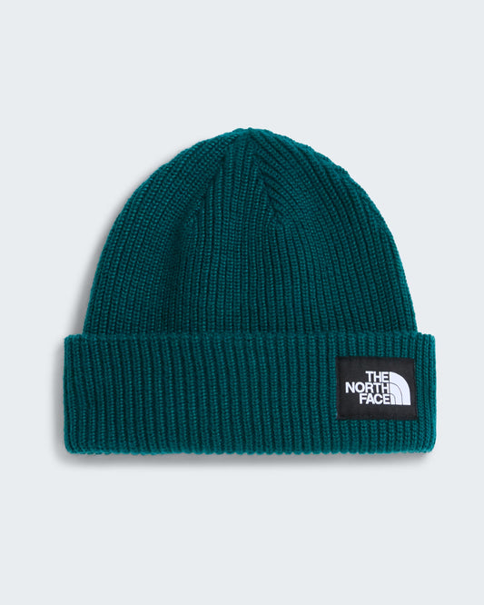Beanie - The North Face Salty Dog Lined Beanie - Pacific Teal