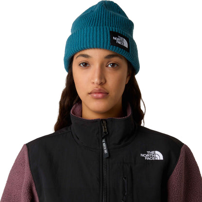 Beanie - The North Face Salty Dog Lined Beanie - Space